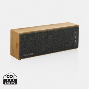 Haut-parleur sans fil 10W